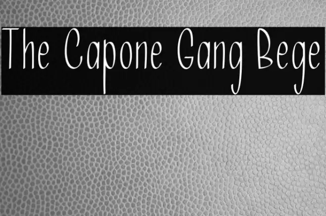 The Capone Gang Bege फ़ॉन्ट examples