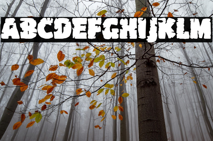 The Car Crash Night Example 1