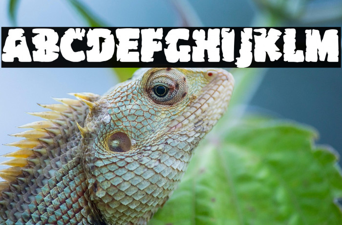 The Car Crash Night Example 2