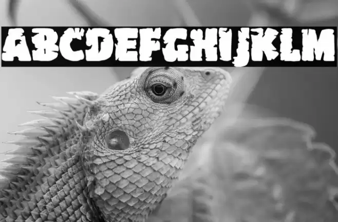 The Car Crash Night Font examples