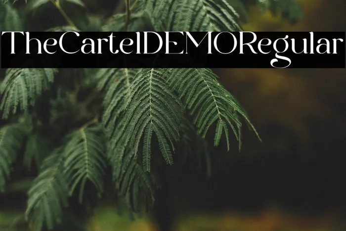 The Cartel DEMO Regular Example 1