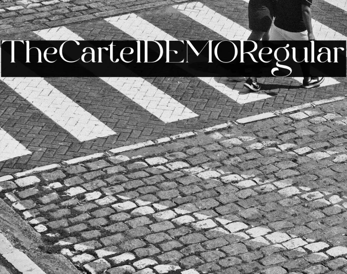 The Cartel DEMO Regular Example 2