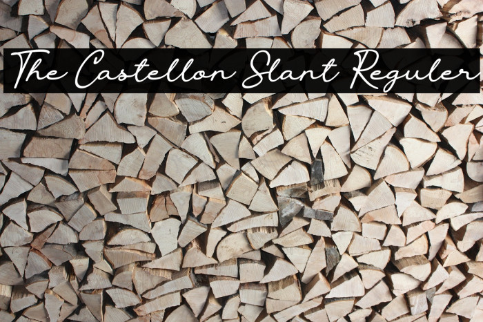 The Castellon Slant Reguler Font examples