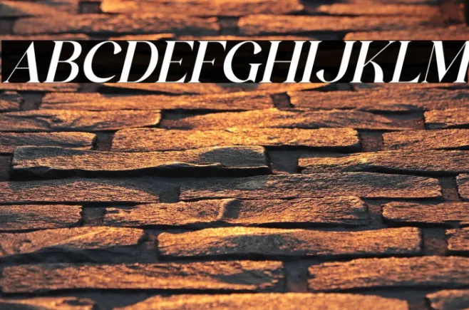 The Castle Elizah Italic Example 2