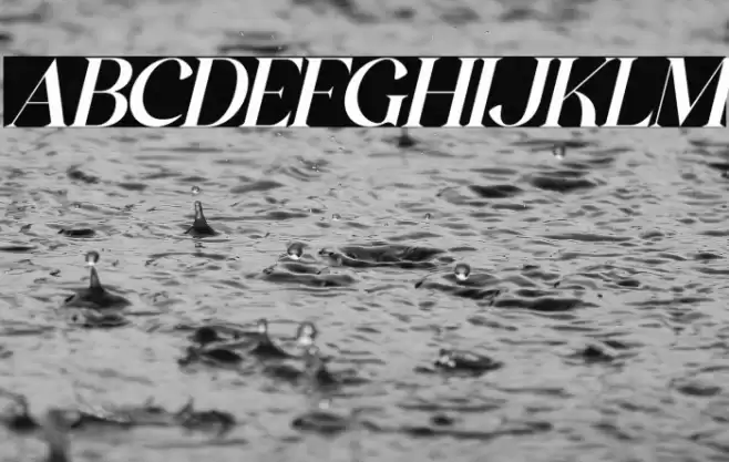 The Castle Elizah Italic Font examples