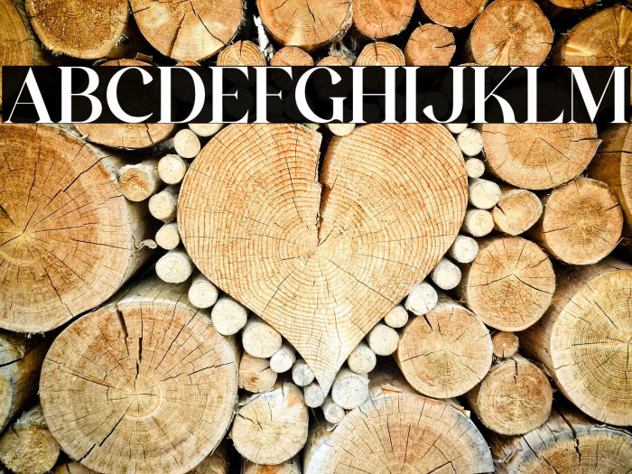 The Castle Elizah Example 1