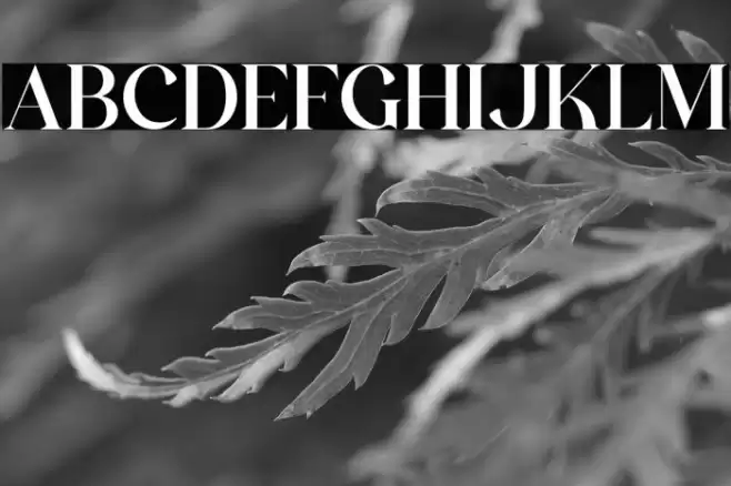 The Castle Elizah Font examples