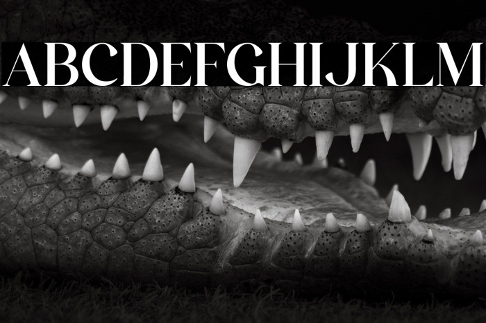 The Castle Elizah Example 3