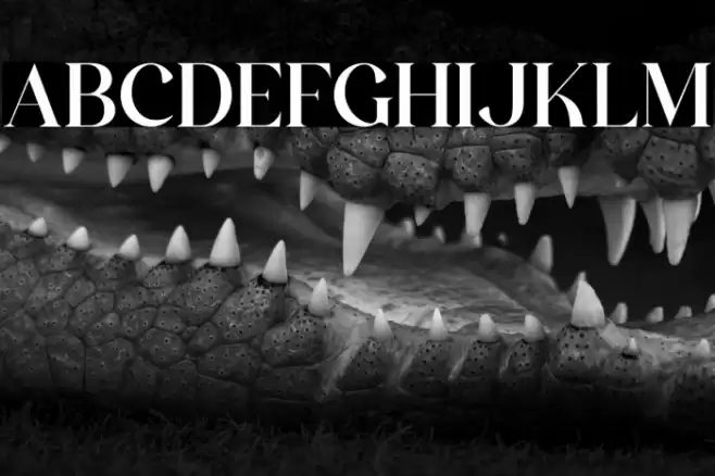 The Castle Elizah Font examples