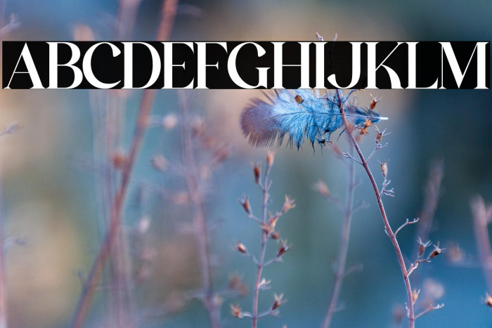 The Castle Elizah Example 2