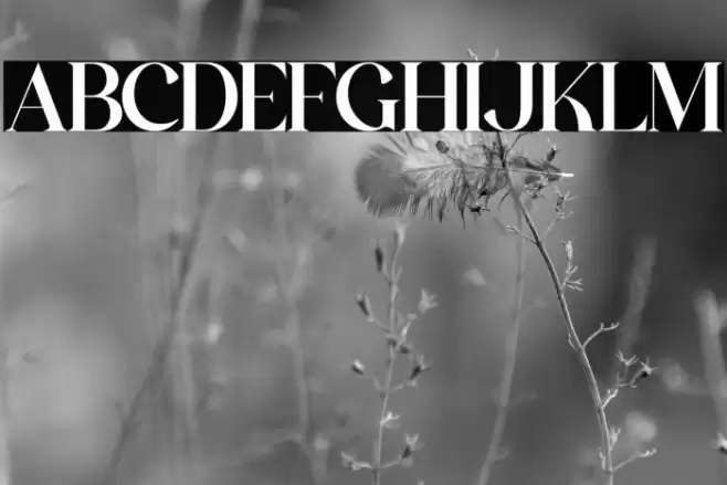 The Castle Elizah Font examples