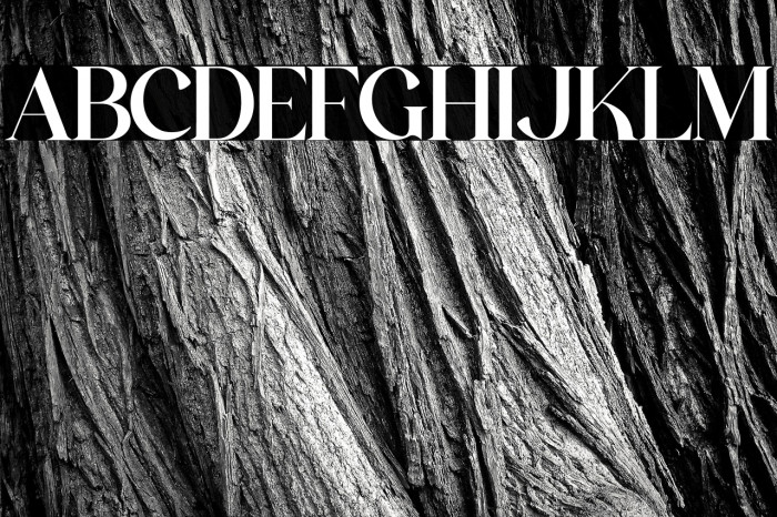 The Castle Elizah Example 3