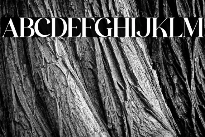 The Castle Elizah Font examples