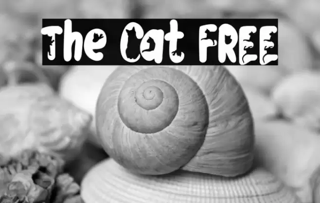 The Cat FREE Polices examples