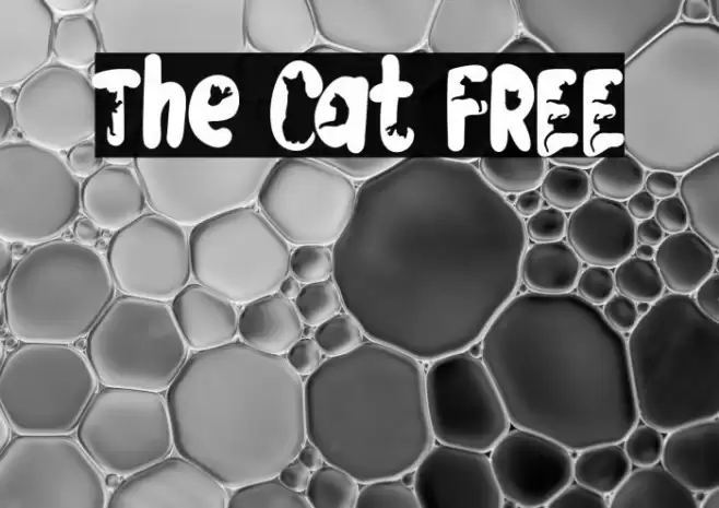 The Cat FREE Polices examples