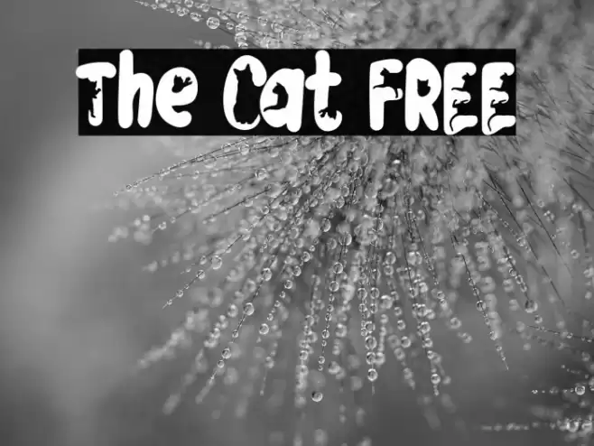 The Cat FREE Polices examples