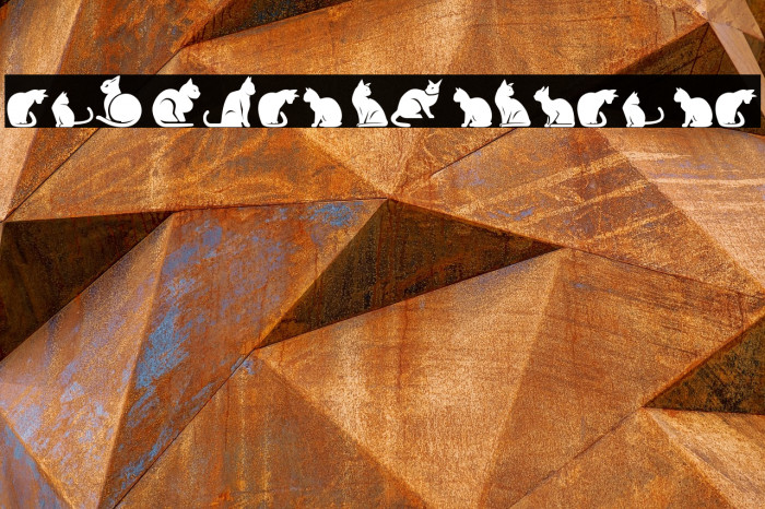 The Cats of South St Example 3