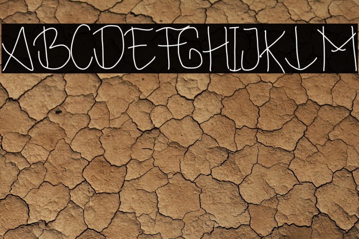 The Cattalina Example 3