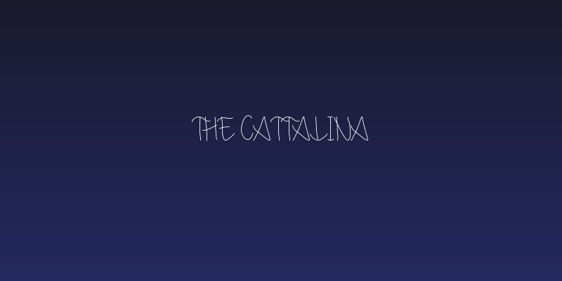 The Cattalina Social Header