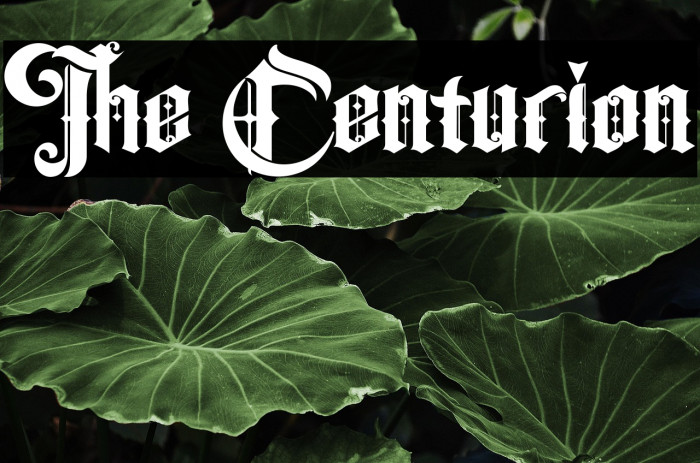 The Centurion Example 3