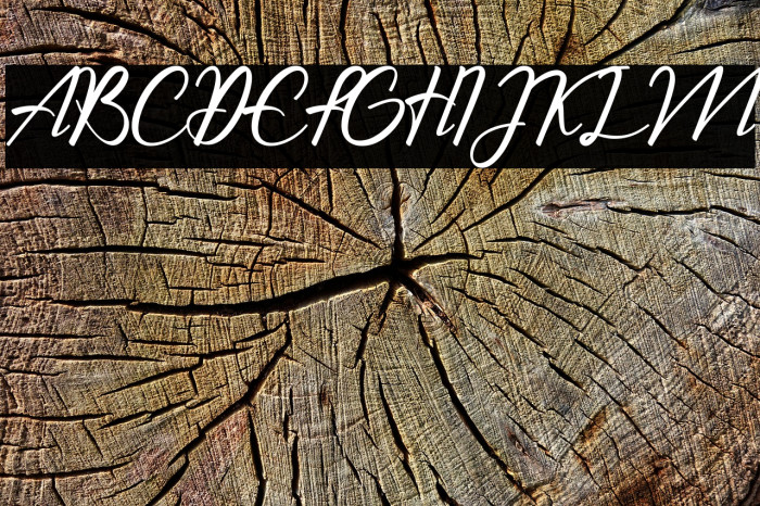 The Chamid Personal Use Only Example 1