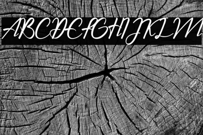 The Chamid Personal Use Only Font examples