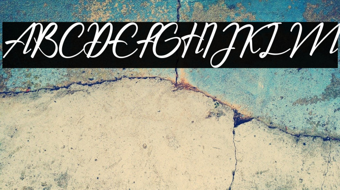 The Chamid Personal Use Only Example 2