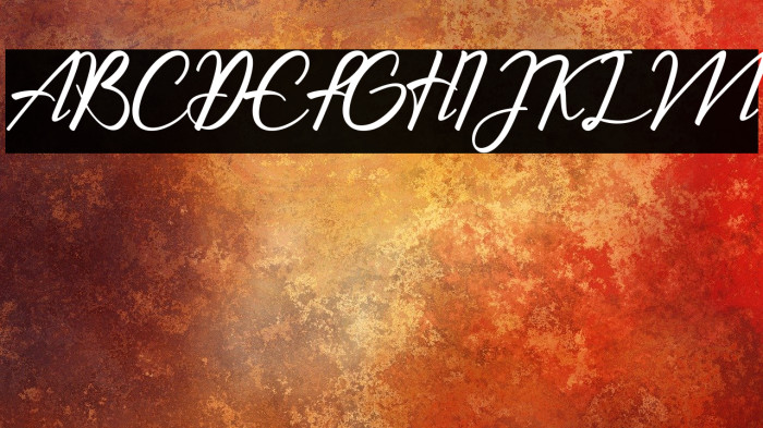 The Chamid Personal Use Only Example 3