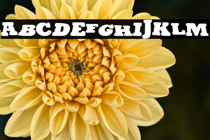 The Chaosland Example 1