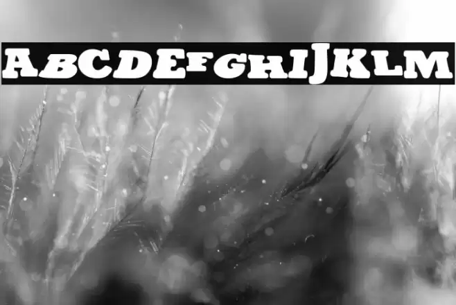 The Chaosland Font examples