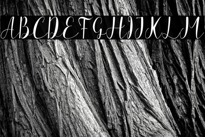 The Charlotte Example 1