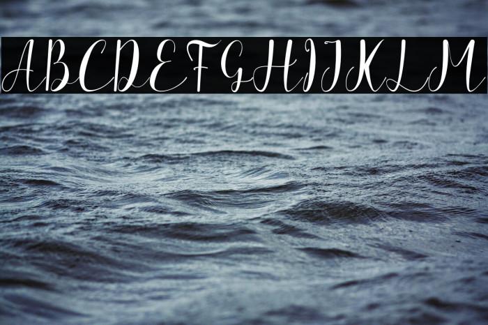 The Charlotte Example 3