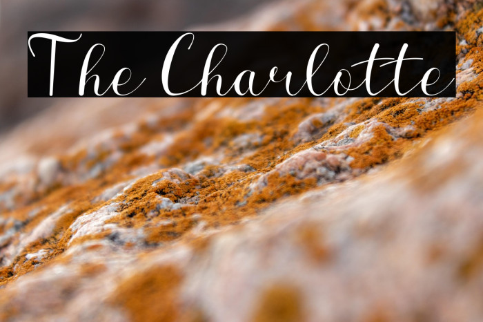 The Charlotte Example 1