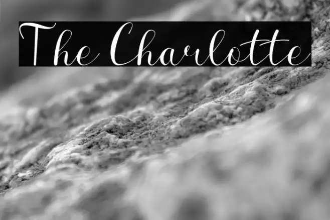 The Charlotte Font examples