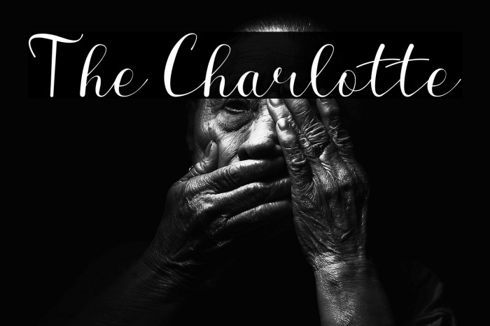 The Charlotte Example 2