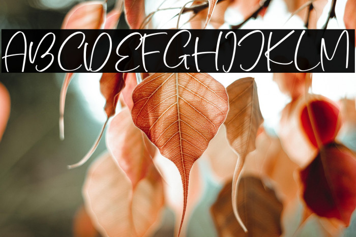 The Charmless Example 3