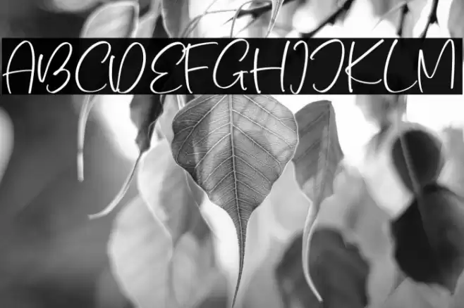 The Charmless خط examples