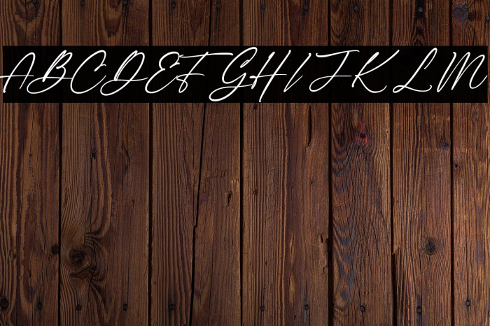 The Checkmate Example 1