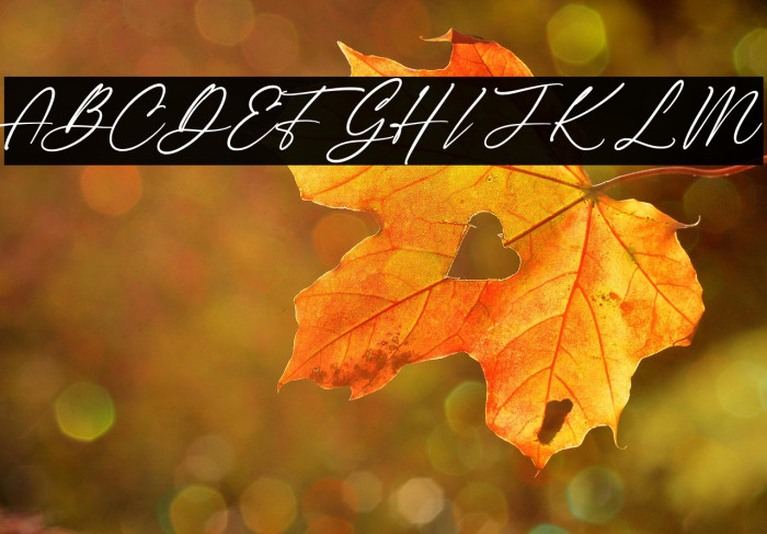 The Checkmate Example 1