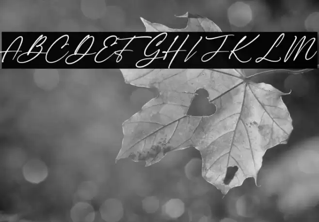 The Checkmate Font examples