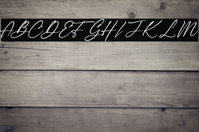 The Checkmate Example 3