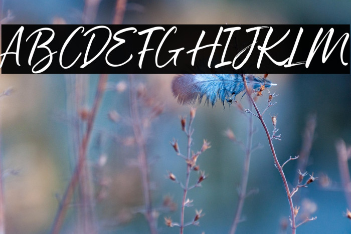 The Chemical Example 1