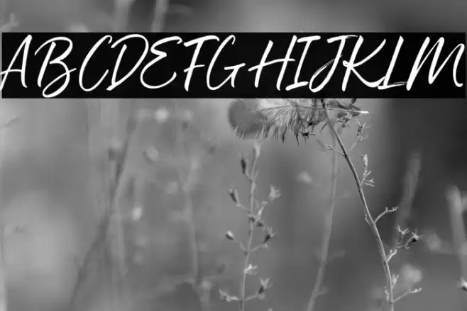 The Chemical Font examples