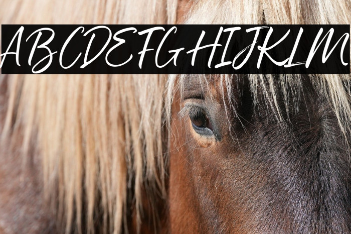 The Chemical Example 3