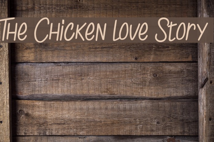 The Chicken love Story Font examples