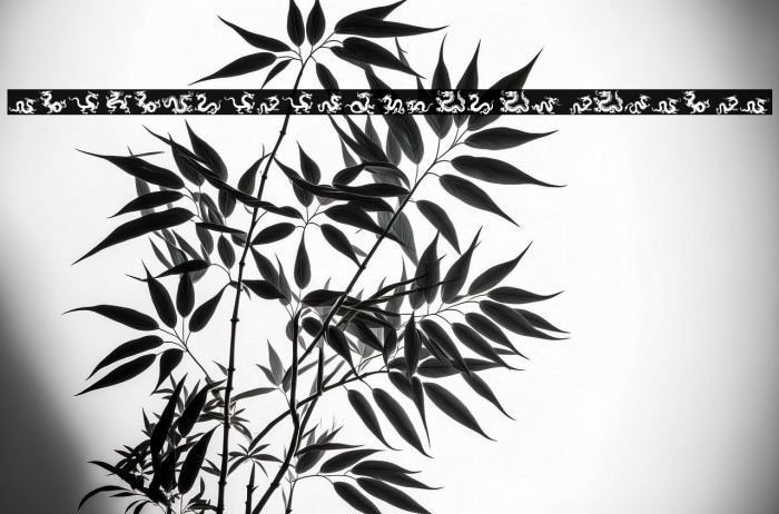 The Chinese Dragon of South ST Example 1