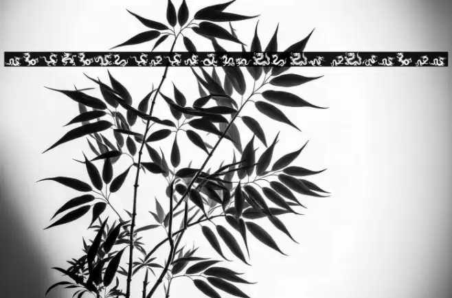 The Chinese Dragon of South ST Font examples