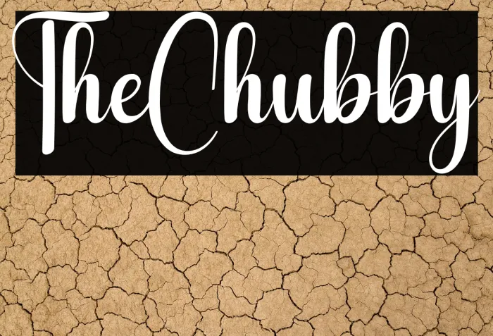 The Chubby Example 2