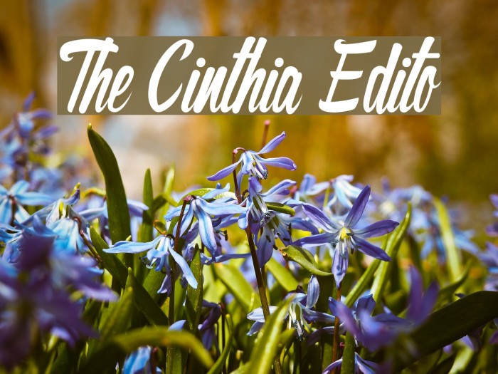 The Cinthia Edito Font examples