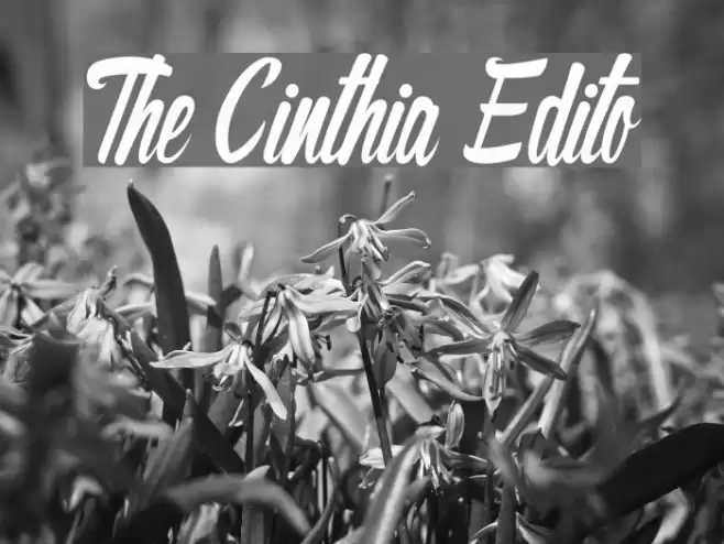 The Cinthia Edito Шрифта examples